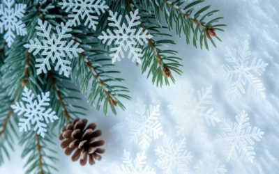 Ouverture du 16 au 20 février